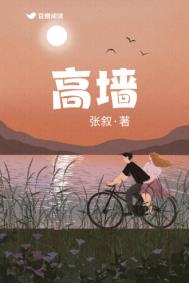 高墙边的混乱第三季迅雷免费下载